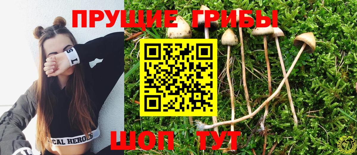 Сафоново  Галлюциногенные грибы MAGIC MUSHROOMS  где найти наркотики  Вход с VPN 