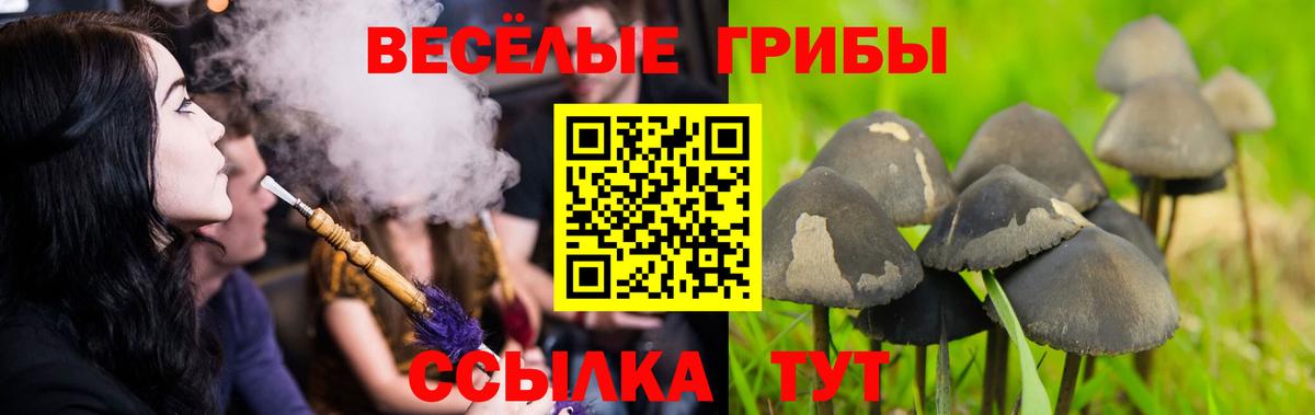 Псилоцибиновые грибы мухоморы Сафоново